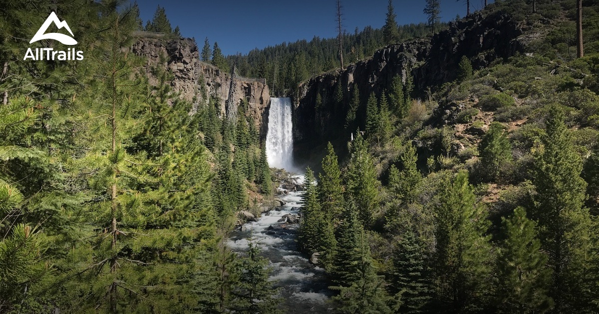 Discover the variety of scenic trails Bend, Oregon, has to offer, suitable for all skill levels.