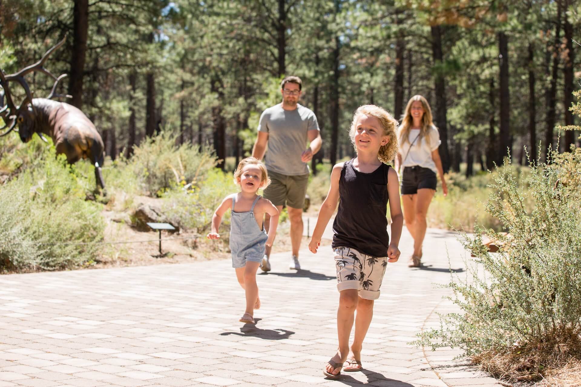 Discover the rich museum culture of Bend and Central Oregon.