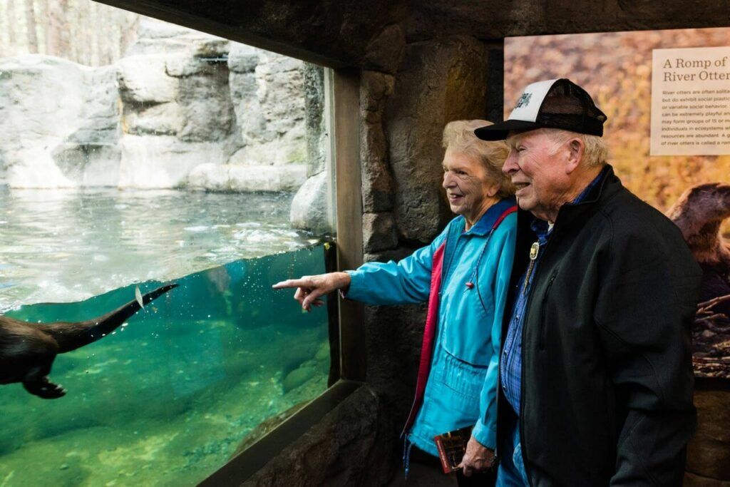 Get up close with wildlife at the High Desert Museum.