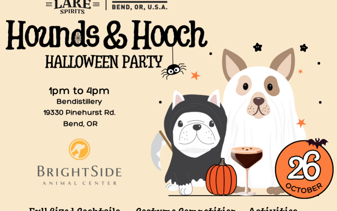 Celebrate Halloween With Your Furry Friends at Hounds and Hooch in Bend, OR