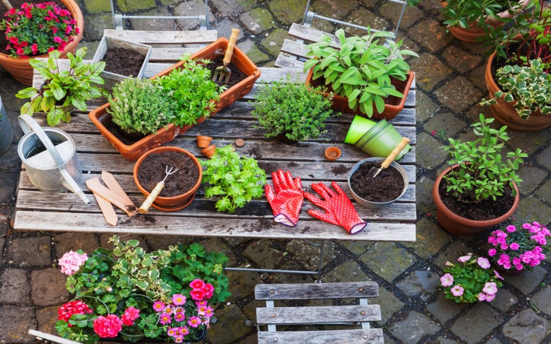 Bend, OR’s Spring Gardening Checklist: What You Need to Know