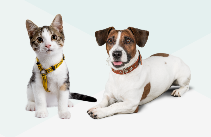 Westside Pet Hospital in Bend, OR