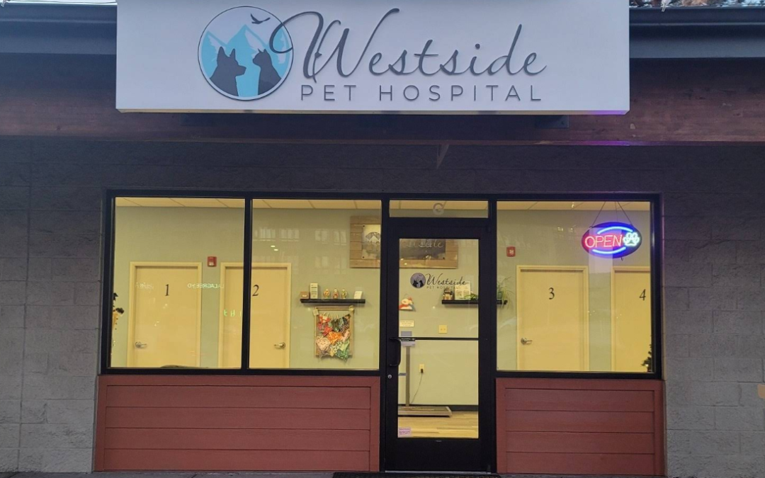 Compassionate Veterinary Care at Westside Pet Hospital in Bend