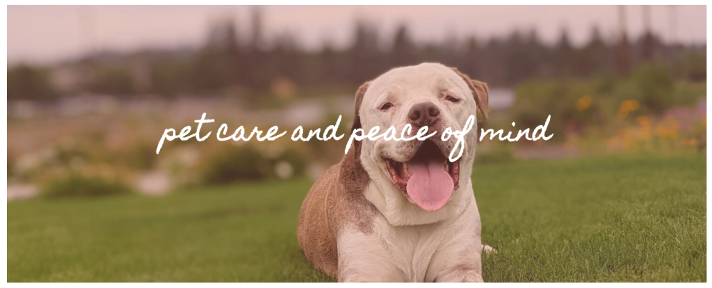 Pampered Moose Pet Care in Bend, OR